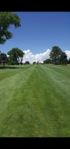 Mercer Golf Academy - Photo 3