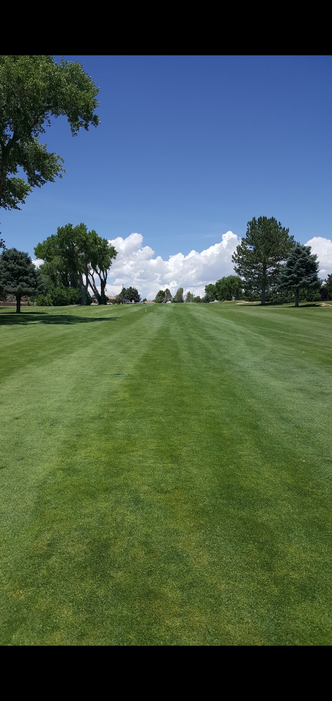 Mercer Golf Academy